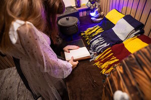 Фотография квеста-анимации Битва за Хогвартс от компании Королевство праздников/Планета праздника (Фото 1)