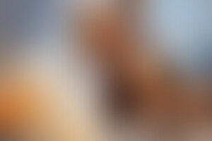Фотография квеста Индиана Джонс от компании Город квестов (Фото 1)